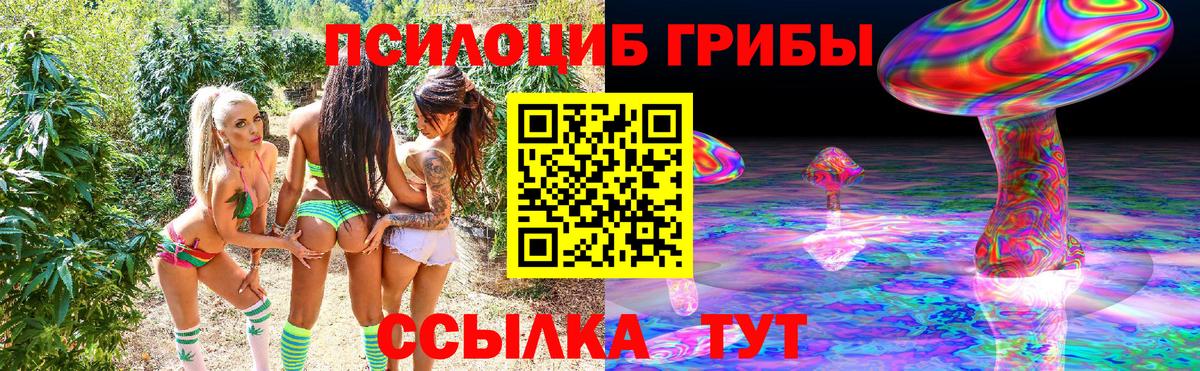 Галлюциногенные грибы мухоморы  наркошоп  Благодарный  Псилоцибиновые грибы Psilocybine cubensis  Вход с VPN 