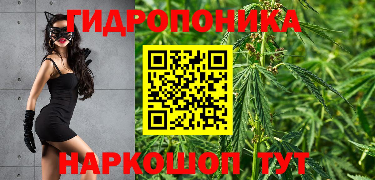 Бошки Шишки конопля  Вход с VPN  МАРИХУАНА конопля  Шишки марихуана Ganja  Благодарный 